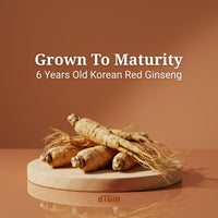 BTGIN The Root Original Korean Red Panax Ginseng Supplement - 100% Whole Fine Root Powder with Natural Fiber & Minerals - Caffeine Free Stamina, Wellness & Immunity Support - 60 Capsules