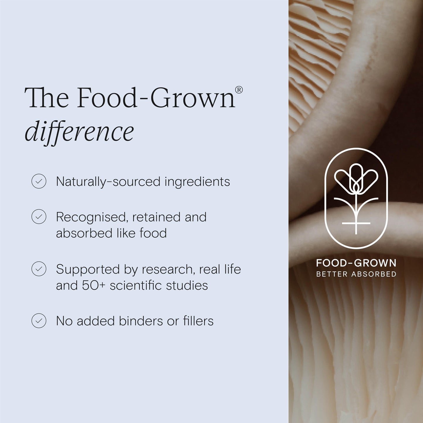 Wild Nutrition Food-Grown® Daily Multi for Teen Boys, Natural & Ethical Multivitamin Kids Vitamins with Vitamin B, Vitamin D - Optimal Health for Teen Boys - 60 Capsules