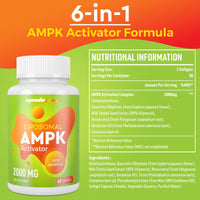 Mechicoco Liposomal AMPK Activator Capsules 2000 mg(2 Package),6-in-1 Formula with Quercetin Dihydrate, Resveratrol and Cinnamon Bark, for Antioxidant Support and Cellular Regulation, NO Soy,NO Gluten