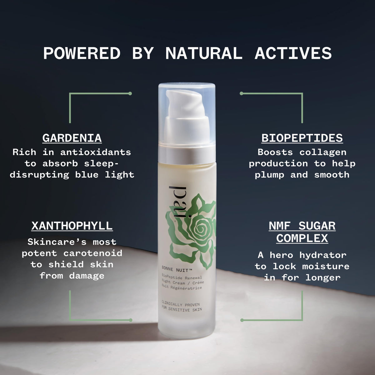 Pai Skincare London | BONNE NUIT BioPeptide Renewal Night Cream, Clinically Proven to Reduce Fine Lines & Boost Moisturisation by 32% Overnight. 50ml / 1.7 fl oz