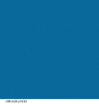 CoverGirl COVERGIRL Perfect Waterproof Eyeliner Aquamarine