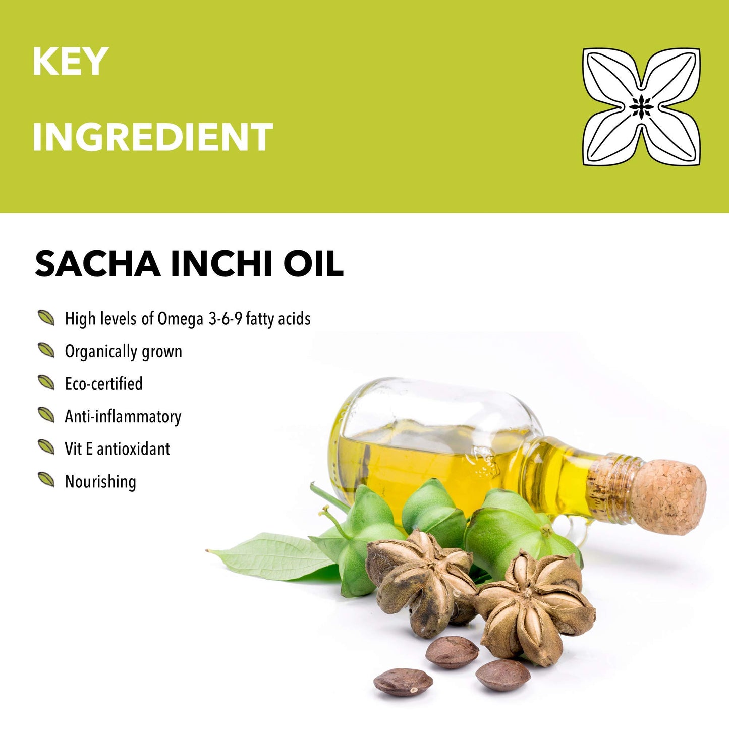 Botanico Vida Omega Oil, 125ml. The 100% Natural Body Oil for Stretch Marks, Scars, Dry Skin. Clinically Proven Skincare