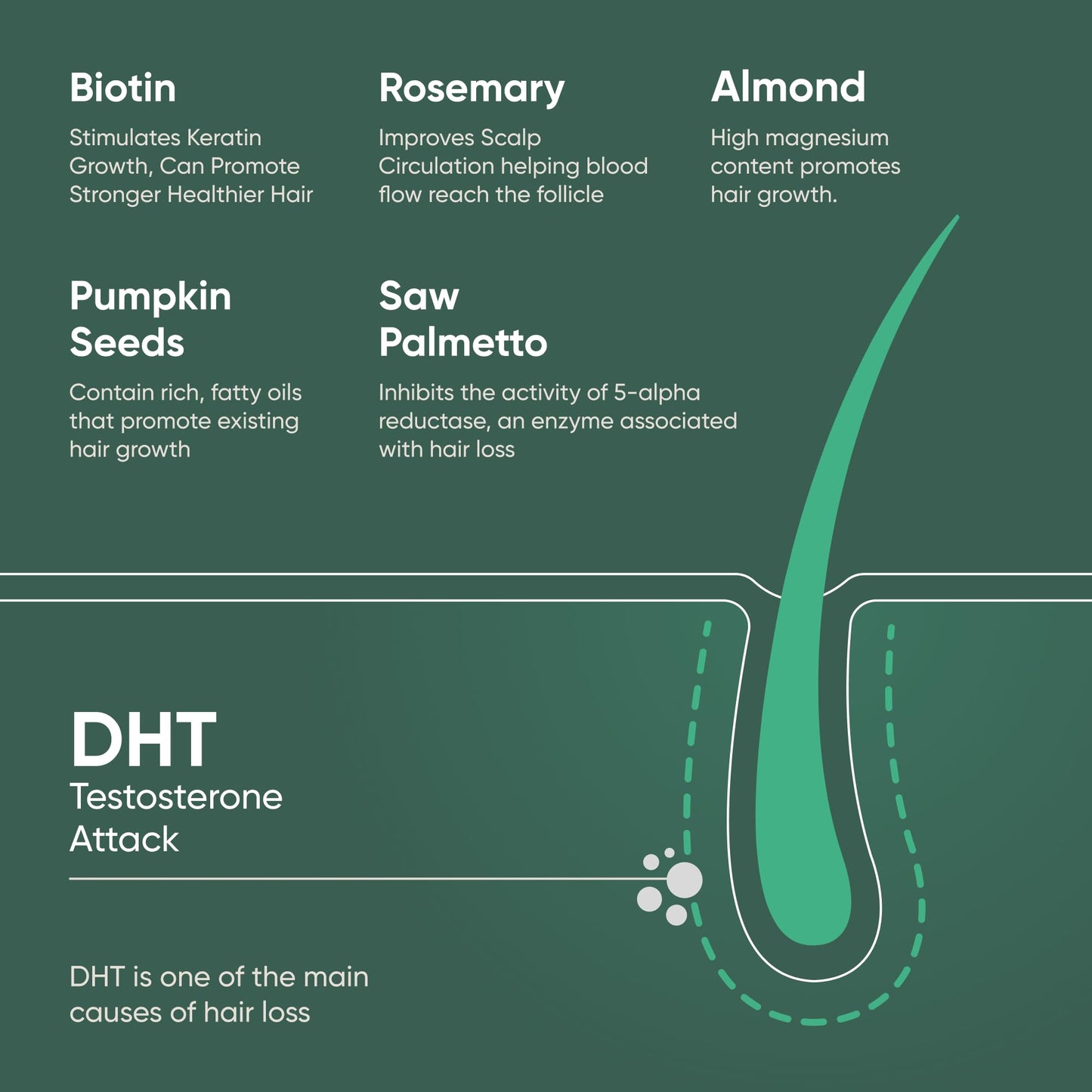 Regrowz Organic Hair Thickening Shampoo with Biotin & Rosemary Oil - 225ml - Pack of 2 - Natural Anti Hair Loss Treatment - Suitable for Men & Women