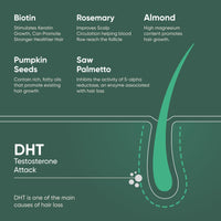 Regrowz Organic Hair Thickening Shampoo with Biotin & Rosemary Oil - 225ml - Pack of 2 - Natural Anti Hair Loss Treatment - Suitable for Men & Women