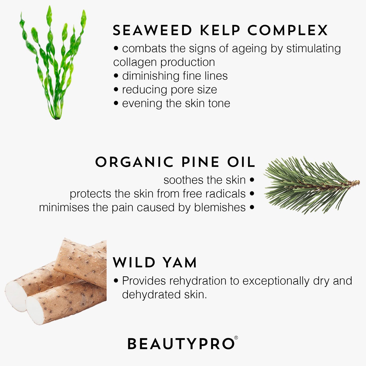 BEAUTYPRO RETINOL 1Anti-Aging Overnight Face Serum 30ml | 100% Plant Based Skincare Serum | Anti-Aging, Targets Blemishes, & Reduces Inflammation | Seaweed Kelp Complex & Organic Pine Oil |