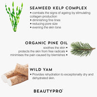 BEAUTYPRO RETINOL 1Anti-Aging Overnight Face Serum 30ml | 100% Plant Based Skincare Serum | Anti-Aging, Targets Blemishes, & Reduces Inflammation | Seaweed Kelp Complex & Organic Pine Oil |