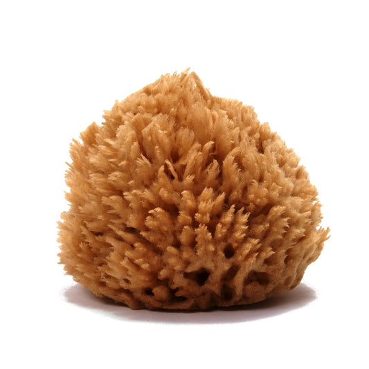 Yogaesse YOGAESSE Exfoliating Natural Sea Sponge, Wool 11–13cm, Unbleached – Premium Bath Sponge for Foamy Soap Lather & Gentle Shower Massage, Soft as a Cloud, Strong & Durable, Harvested in Greece