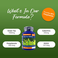 Zipvit Green Tea Extract 7000mg Antioxidant, 95% Polyphenols. 90 Vegan Green Tea Tablets. 3 Months Supply.