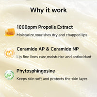 KISSIO Honey Lip Butter Set,Lip Balm with 1000 ppm Propolis Extract,Ceramide AP and Phytosphingosine,Long-lasting Moisture and Nourishe Lips,Lip Lines Care