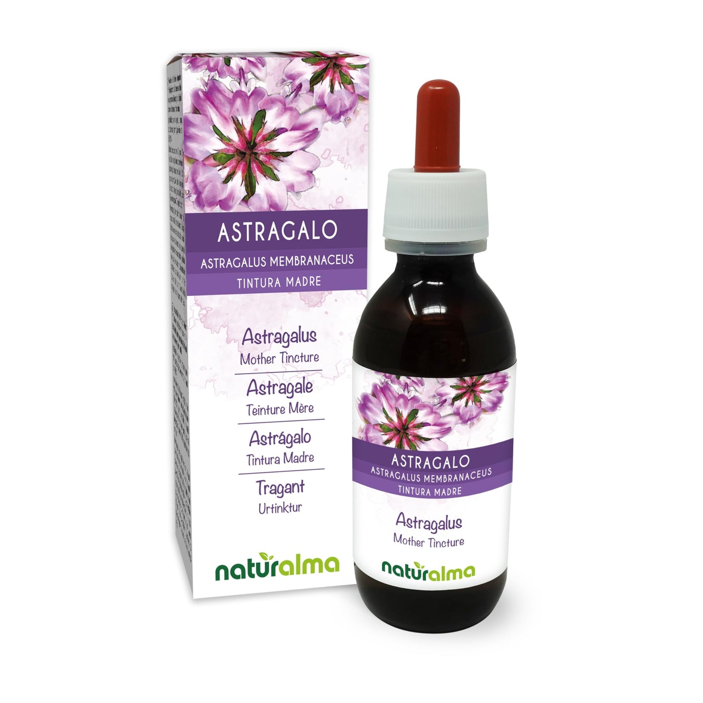 Astragalus (Astragalus membranaceus) Roots Alcohol-Free Mother Tincture Naturalma - Liquid in Drops 120 ml - Food Supplement - Vegan