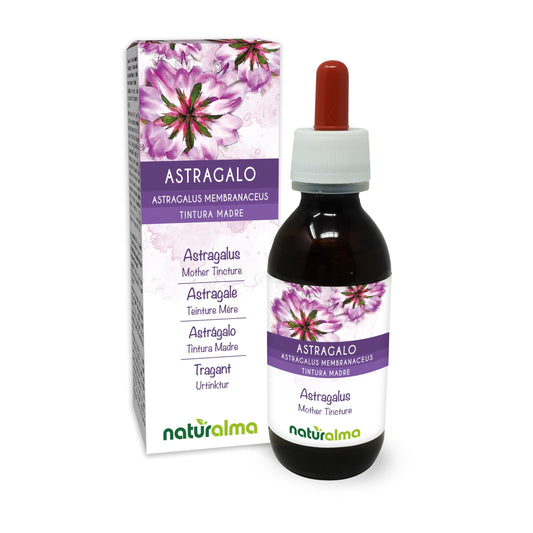 Astragalus (Astragalus membranaceus) Roots Alcohol-Free Mother Tincture Naturalma - Liquid in Drops 120 ml - Food Supplement - Vegan