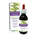 European Bugleweed or Gypsywort (Lycopus europaeus) herb Alcohol-Free Mother Tincture Naturalma - Liquid Extract Drops 120 ml - Food Supplement - Vegan