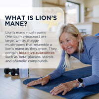 Lions Mane Supplement Liquid Drops by Core Nutrition - High Strength of 24,000mg per 60ml Bottle - Vegan - 1 Month Supply of Lions Mane Extract - Made in UK