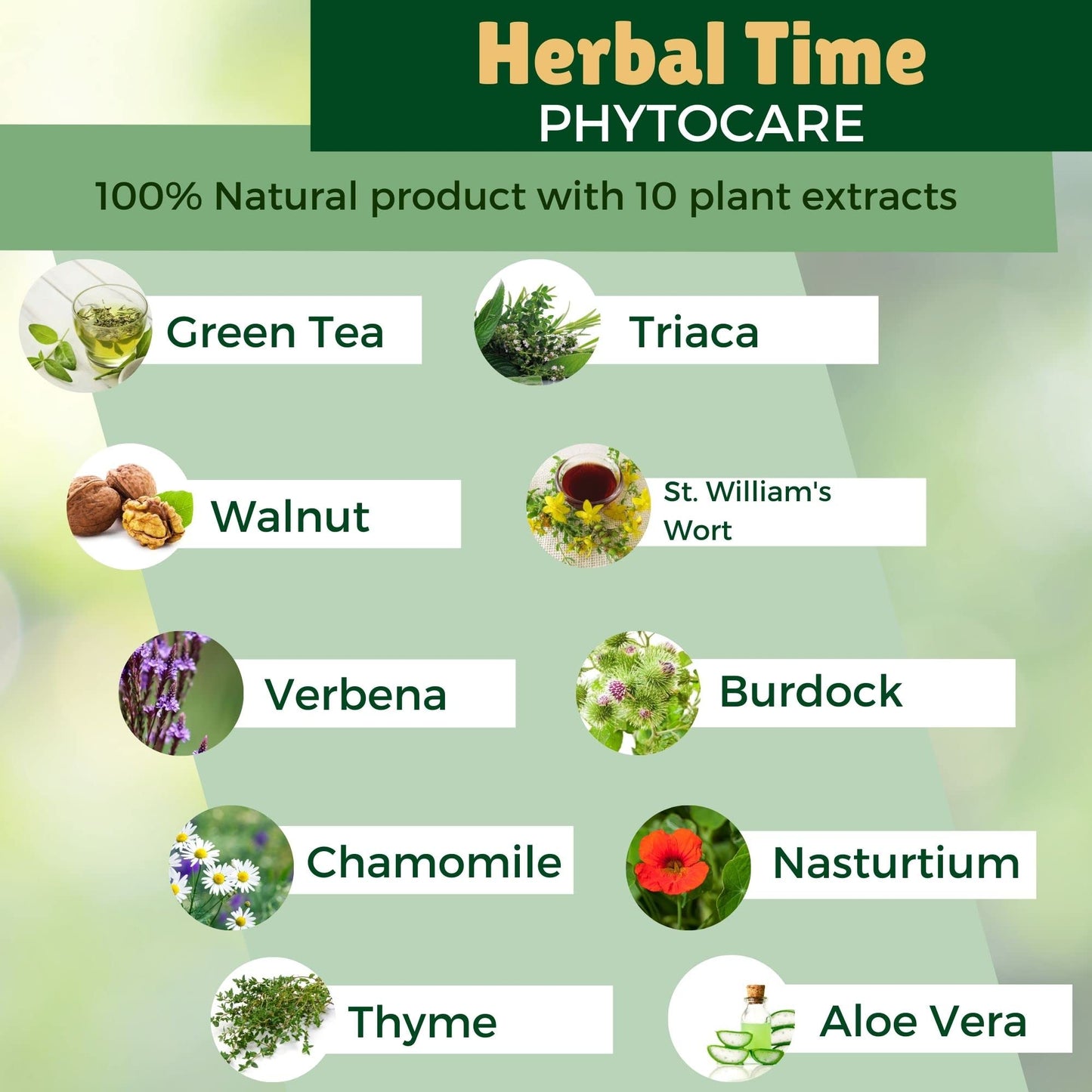Herbal Time Phytocare Permanent Hair Dye Color Beige Blonde 9B | Professional Natural Hair Dye Kit | Nourish and Protect Your Hair | Ammonia, PPD and SLS Free | 124.5 ml