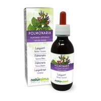 Lungwort (Pulmonaria officinalis) herb with Flowers Alcohol-Free Mother Tincture Naturalma - Liquid Extract Drops 120 ml - Food Supplement - Vegan
