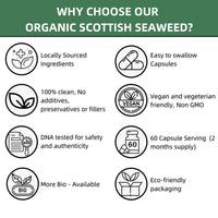 Mad Diet Organic Scottish Seaweed | Health Support | Natural Source of Iodine | Sustainably Sourced | Zero Additives | 60 Capsules –2 Month Supply | Suitable for Vegans