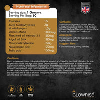 GLOWRISE Lions Mane Gummies 1000mg – Blueberry Flavor, Sugar-Free, Vegan & Halal - 60 Gummies (Two Months Supply)- (Not Powder or Capsules)