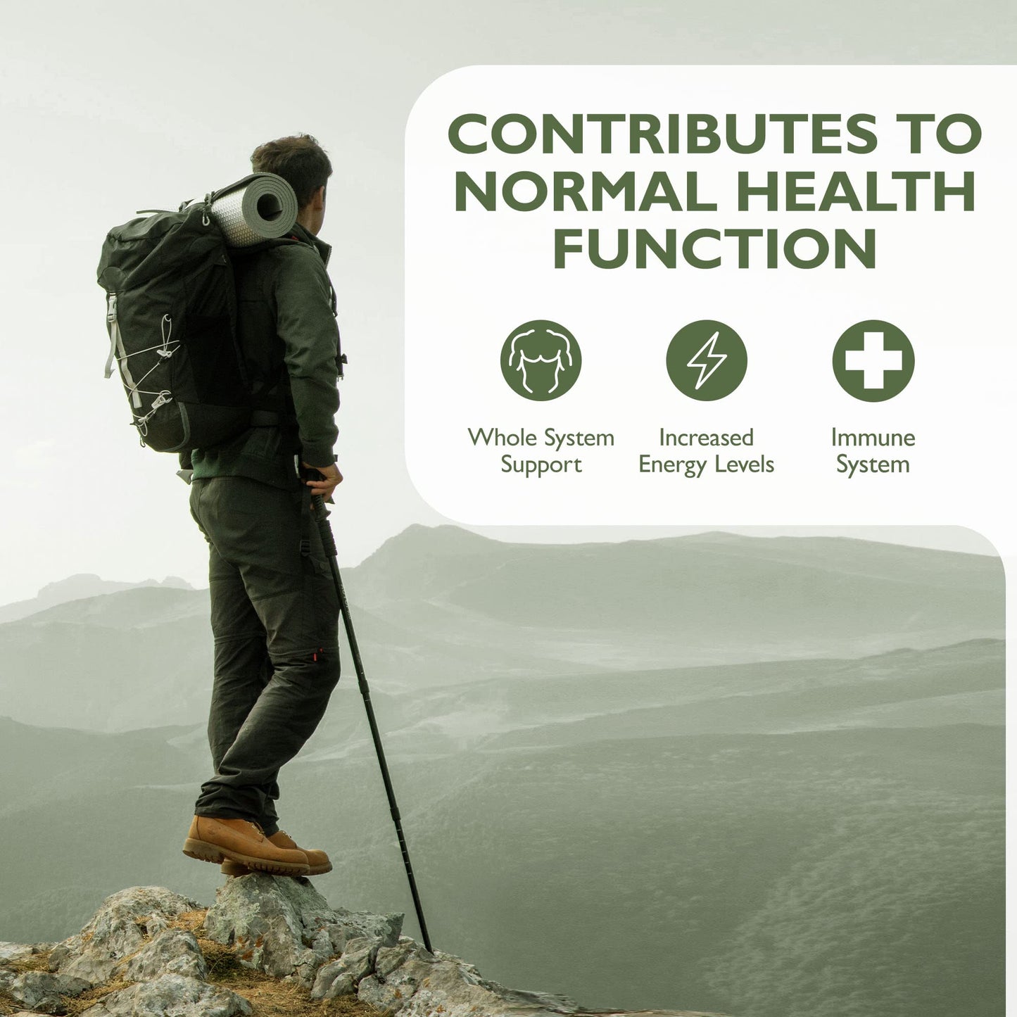 Barefoot Nutrition - Optimum Multivitamin & Mineral Supplement, Bioactive High Strength Formula with Vitamin C Complex, Superior Absorption for Immune Support - 60 Vegan Capsules