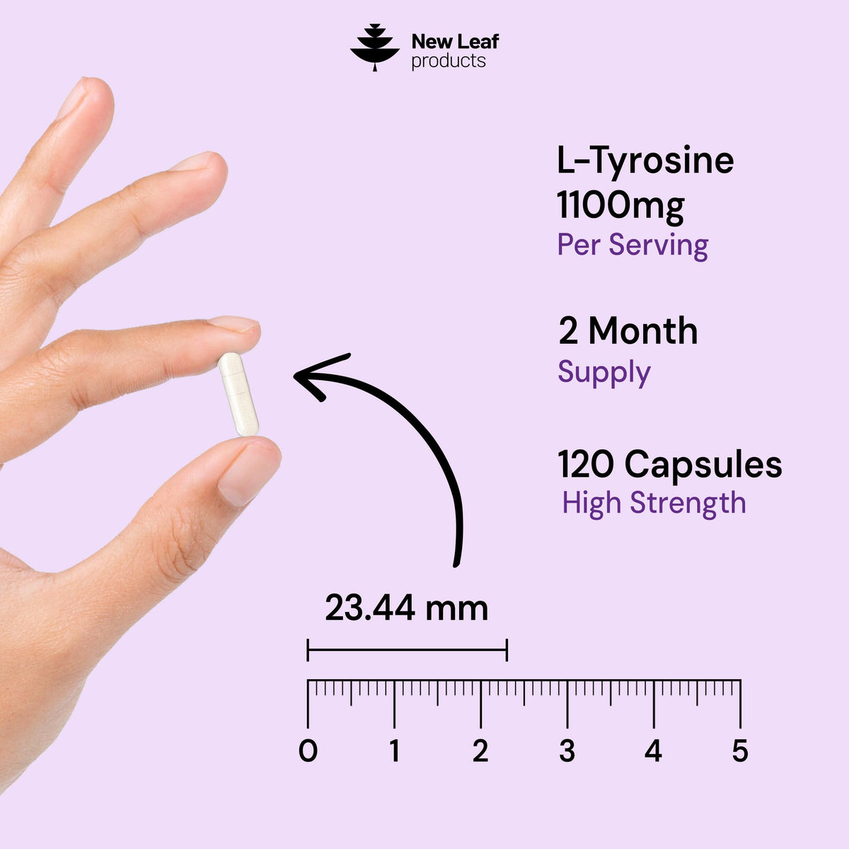 NEW LEAF PRODUCTS L-Tyrosine Supplement 1100mg - Free Form Amino Acid - 120 Vegan Capsules - Fermented High Strength L Tyrosine Supplement - No Artificial Preservatives