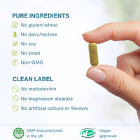 Igennus Healthcare Nutrition Igennus Advanced Berberine Phytosome 550mg & Chromium, 60 Capsules