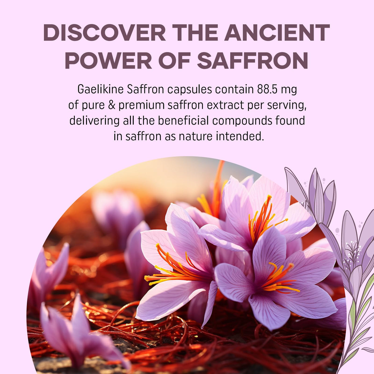 Gaelikine Liposomal Saffron Supplements 88.5 mg, 100% Pure Saffron Extract Capsules, Premium Saffron for Mood, Focus, Vision & Energy, Weight and Appetite, High Absorption, 120 Capsules