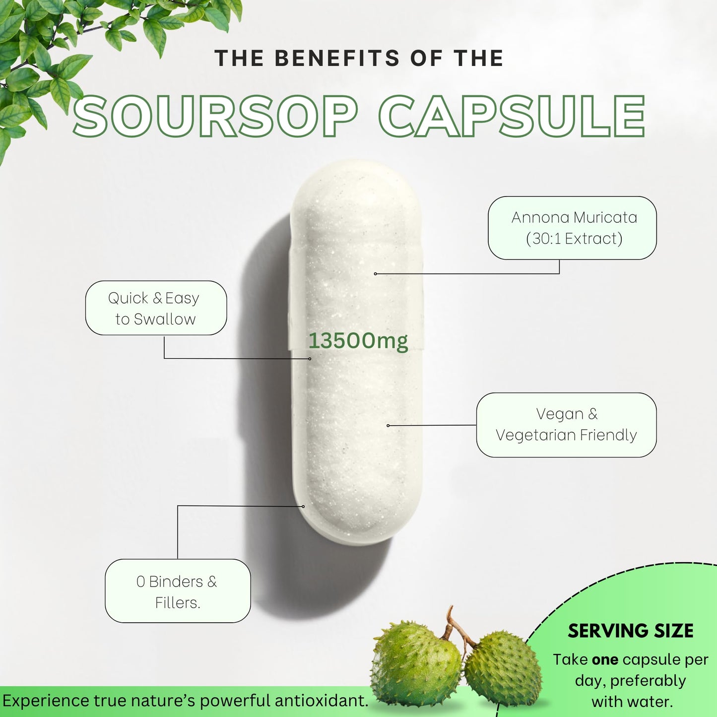 Organic Soursop Graviola for Cell Support & Regeneration | High Strength 13500mg 30:1 Extract Per Serving | Powerful Antioxidant and Immune Support - 60 Capsules