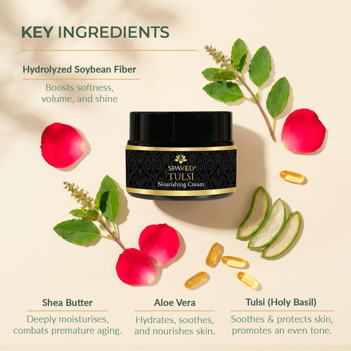 SPAVED SpaVed Tulsi (Holy Basil) Face Cream 50g – Anti-Ageing Vegan Night Cream & Face Moisturiser with Shea Butter, Aloe Vera & Vitamin E | Supports Skin Barrier Hydration for Dry & Sensitive Skin