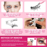 PRO LASHBEAUTY Magnetic Eyelashes With Applicator Long Lasting And Reusable Magnetic Lashes Kit 5Pcs Magnets Per Piece No Glue Needed False Eyelashes Waterproof,Cruelty Free,Easy To Wear(1pair,Vibrant)