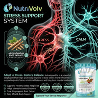 NutriVolv Ashwagandha 1000mg – 90 Vegan Tablets | High Strength Extract | Adaptogen for Stress, Anxiety & Fatigue Relief | Supports Energy, Focus, Mood, Sleep & Hormonal Balance | Ayurvedic Supplement