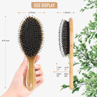 Bsisme Boar Bristles Hair Brush,Detangling Hairbrushes for Long Short Curly Straight Fine Hair,Women Men Boys Girls Hairbrush (Oval)