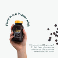 Dr Sosnowski's Dr. Sosnowski's BioActive KSM-66 Ashwagandha Gummies | 750mg Ashwagandha Extract with Vitamin D2 (60 Gummies)