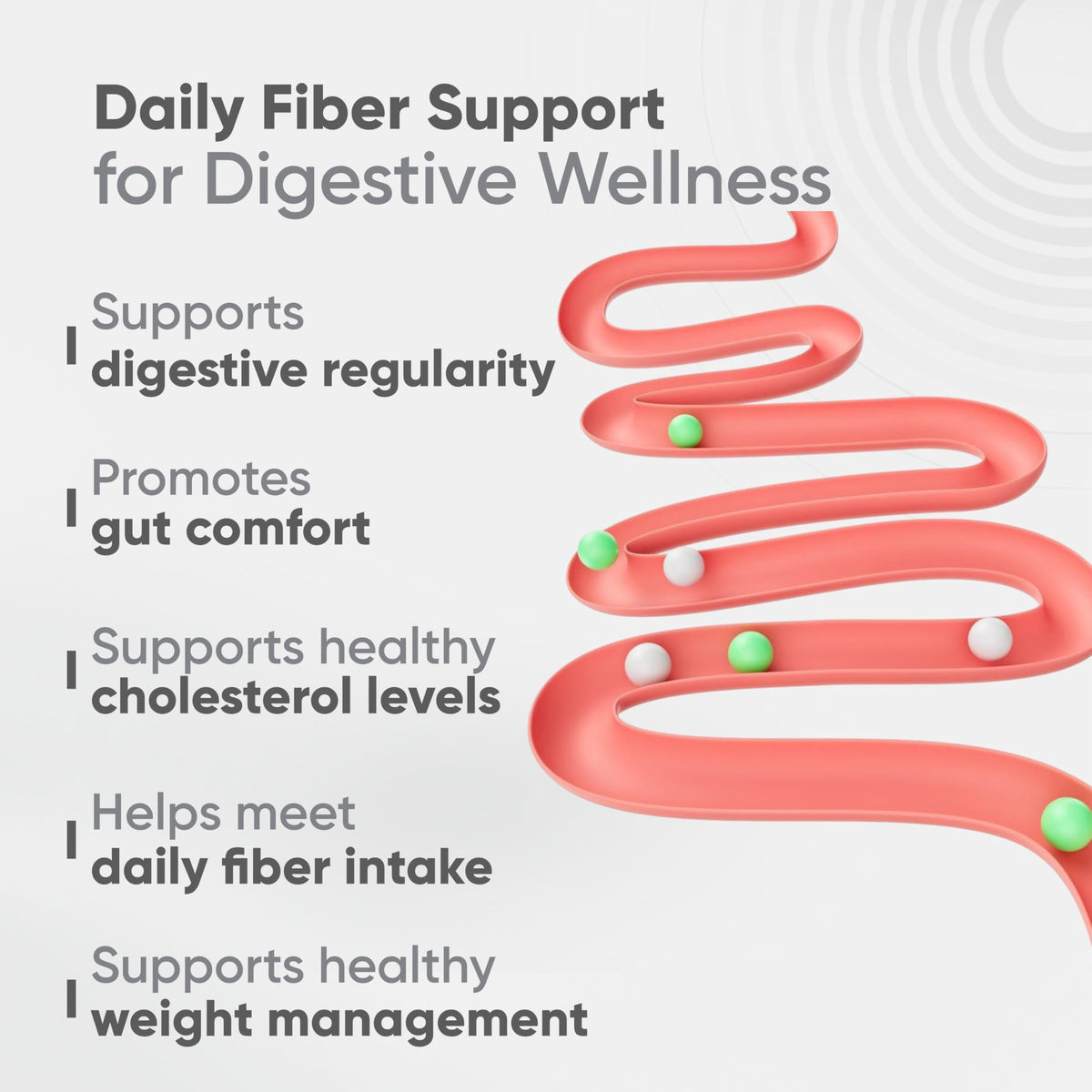 Vitaminnica Because your Health Matters Vitaminnica Vita Husk Pysllium Husk Supplement 1000mg- High Fibre Supplement for Digestive Health, Regularity & Weight Management- Vegan & Gluten-Free - 60 Capsules