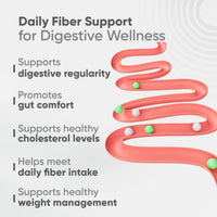 Vitaminnica Because your Health Matters Vitaminnica Vita Husk Pysllium Husk Supplement 1000mg- High Fibre Supplement for Digestive Health, Regularity & Weight Management- Vegan & Gluten-Free - 60 Capsules