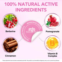 BODY JUICE OIL Berberine Patches Healthy Shape Support, Botanical Plant-Based Formula with Berberine, Chromium - 30 Vegan Patches (60PCS)
