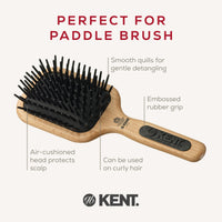 KENT Kent Maxi-Phat Detangling Hair Brush - PF19 (PACK OF 1)