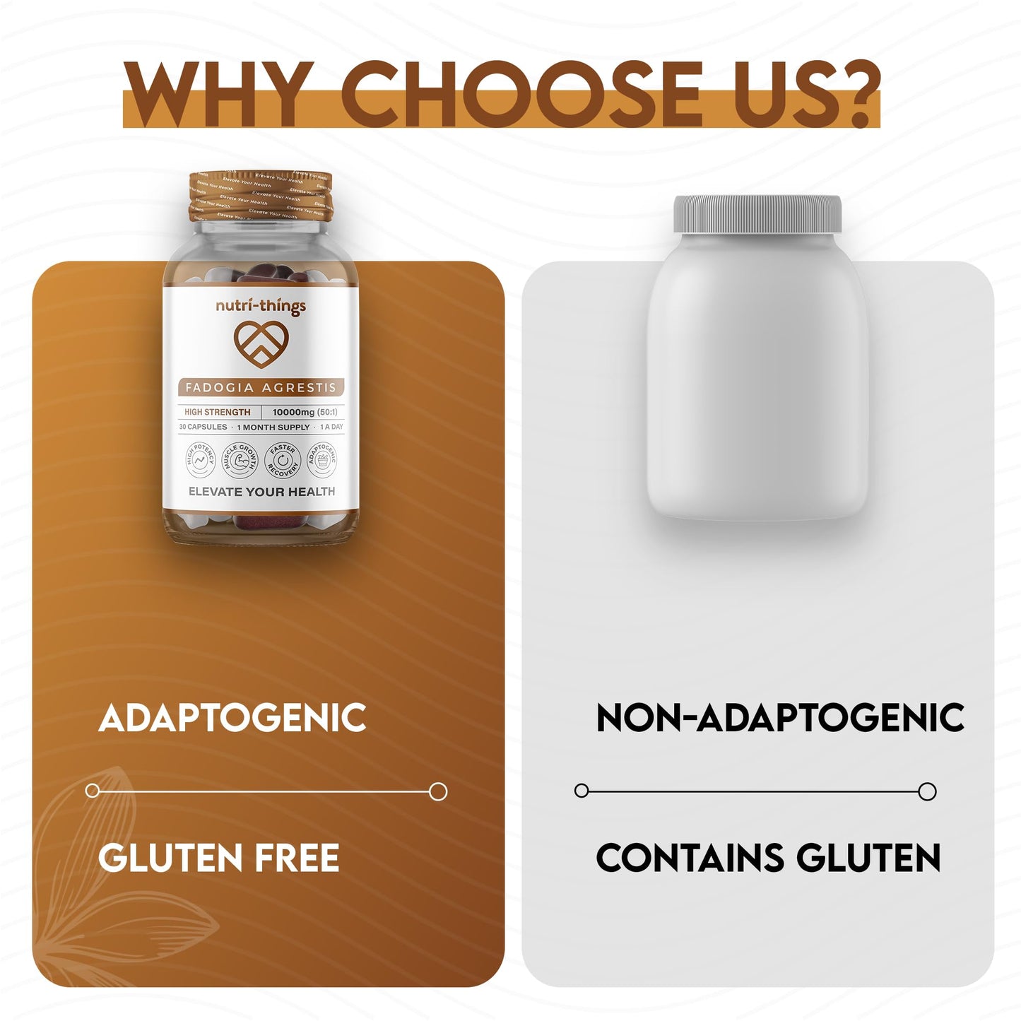 Nutri-things Elevate Your Health® Fadogia Agrestis Capsules