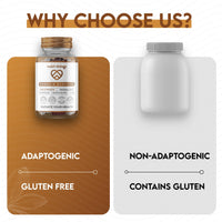 Nutri-things Elevate Your Health® Fadogia Agrestis Capsules