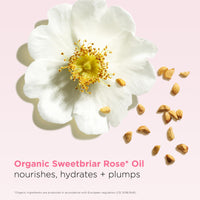 Clarins Lip Oil Balm 05 Cherry 2.9g
