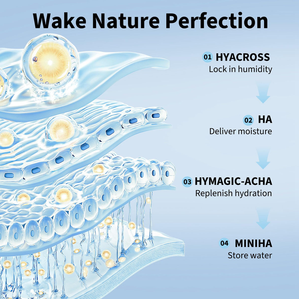 Fashion Base UltraHydrating Serum 5% Hyaluronic Acid Smoother Skin,Hyaluronic Acid Serum for Face,4D Hyaluronic Acid Tubes,Pre-makeup SkinCare|Anti-Aging serum for face Single-Use Vials Skincare(30pcs)