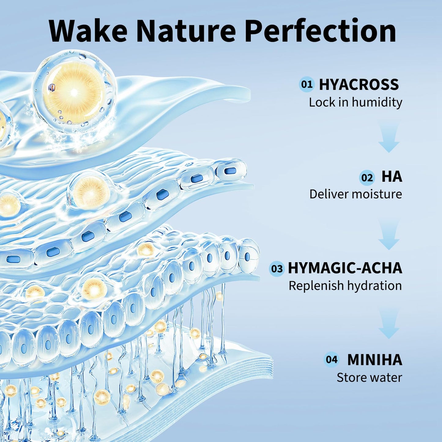 Fashion Base UltraHydrating Serum 5% Hyaluronic Acid Smoother Skin,Hyaluronic Acid Serum for Face,4D Hyaluronic Acid Tubes,Pre-makeup SkinCare|Anti-Aging serum for face Single-Use Vials Skincare(30pcs)