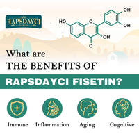 Rapsdayci Liposomal Fisetin with Quercetin 1200mg | High Potency Antioxidant Complex | Non-GMO Phospholipid Delivery (60 Count (Pack of 1))