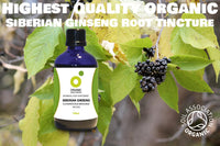 Organic Herbal Remedies 100 ml Siberian Ginseng Tincture