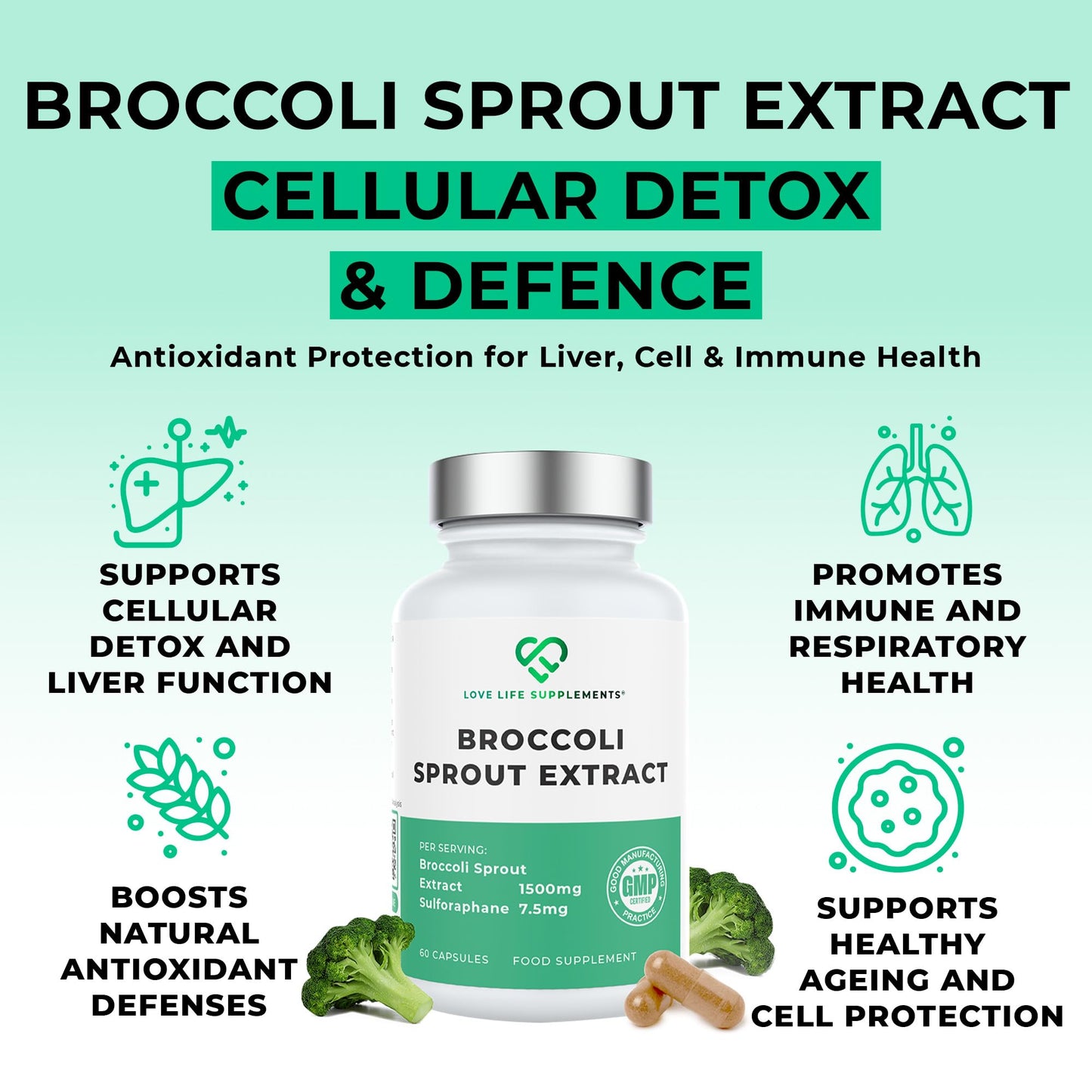 LOVE LIFE SUPPLEMENTS Broccoli Sprout Extract by LLS | Contains Activated Sulforaphane | 60 Capsules | 15,000mg of Whole Plant Equivalent per Serving | Sulforaphane Supplement | Potent Antioxidant Content