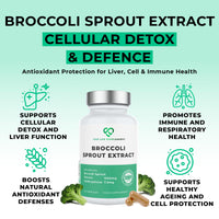 LOVE LIFE SUPPLEMENTS Broccoli Sprout Extract by LLS | Contains Activated Sulforaphane | 60 Capsules | 15,000mg of Whole Plant Equivalent per Serving | Sulforaphane Supplement | Potent Antioxidant Content
