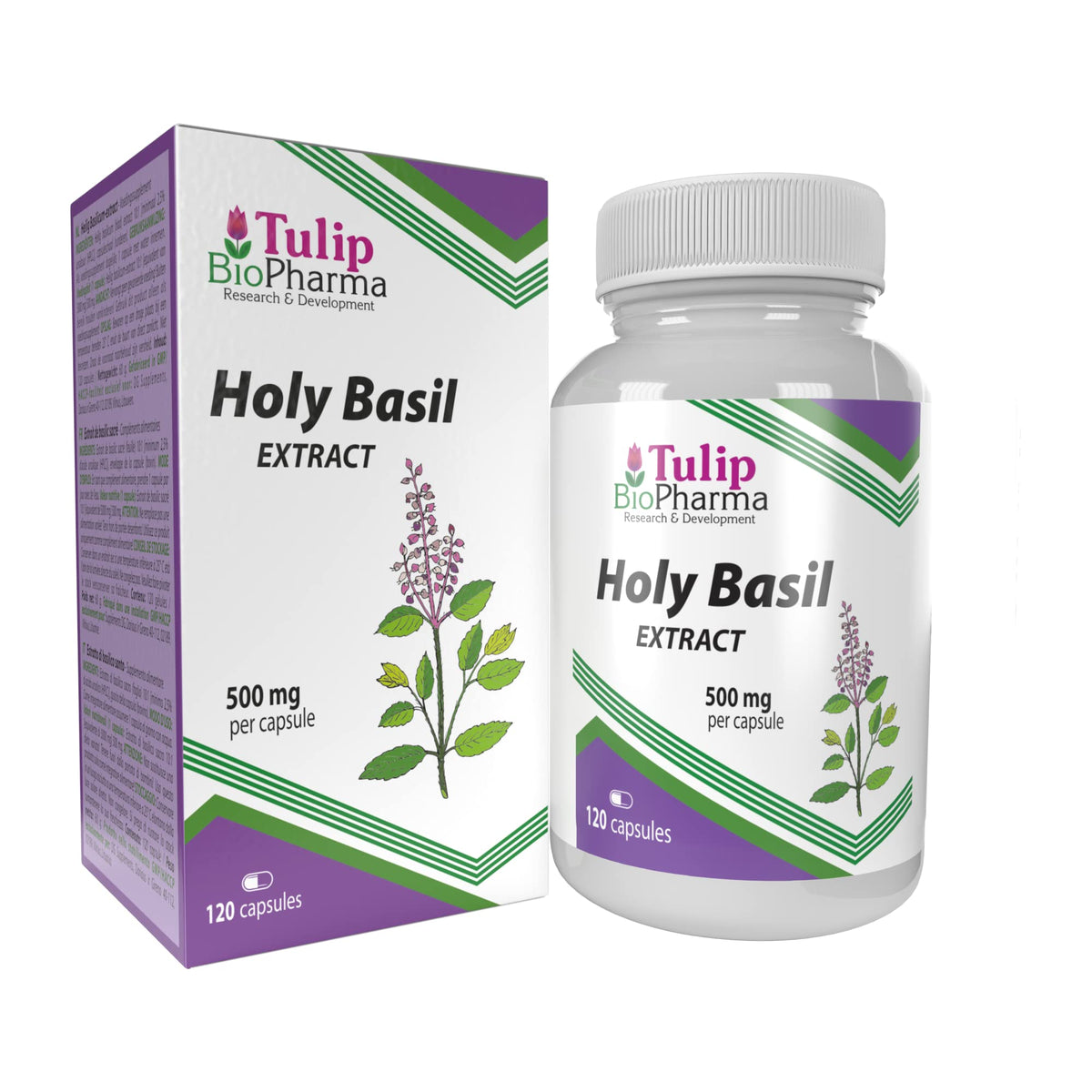 Tulip BioPharma Tulsi Holy Basil 5,000mg Equivalent | 120 Capsules | 4-Month Supply | 500mg 10:1 Ocimum Sanctum Extract | 3rd Party Lab Tested