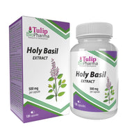 Tulip BioPharma Tulsi Holy Basil 5,000mg Equivalent | 120 Capsules | 4-Month Supply | 500mg 10:1 Ocimum Sanctum Extract | 3rd Party Lab Tested