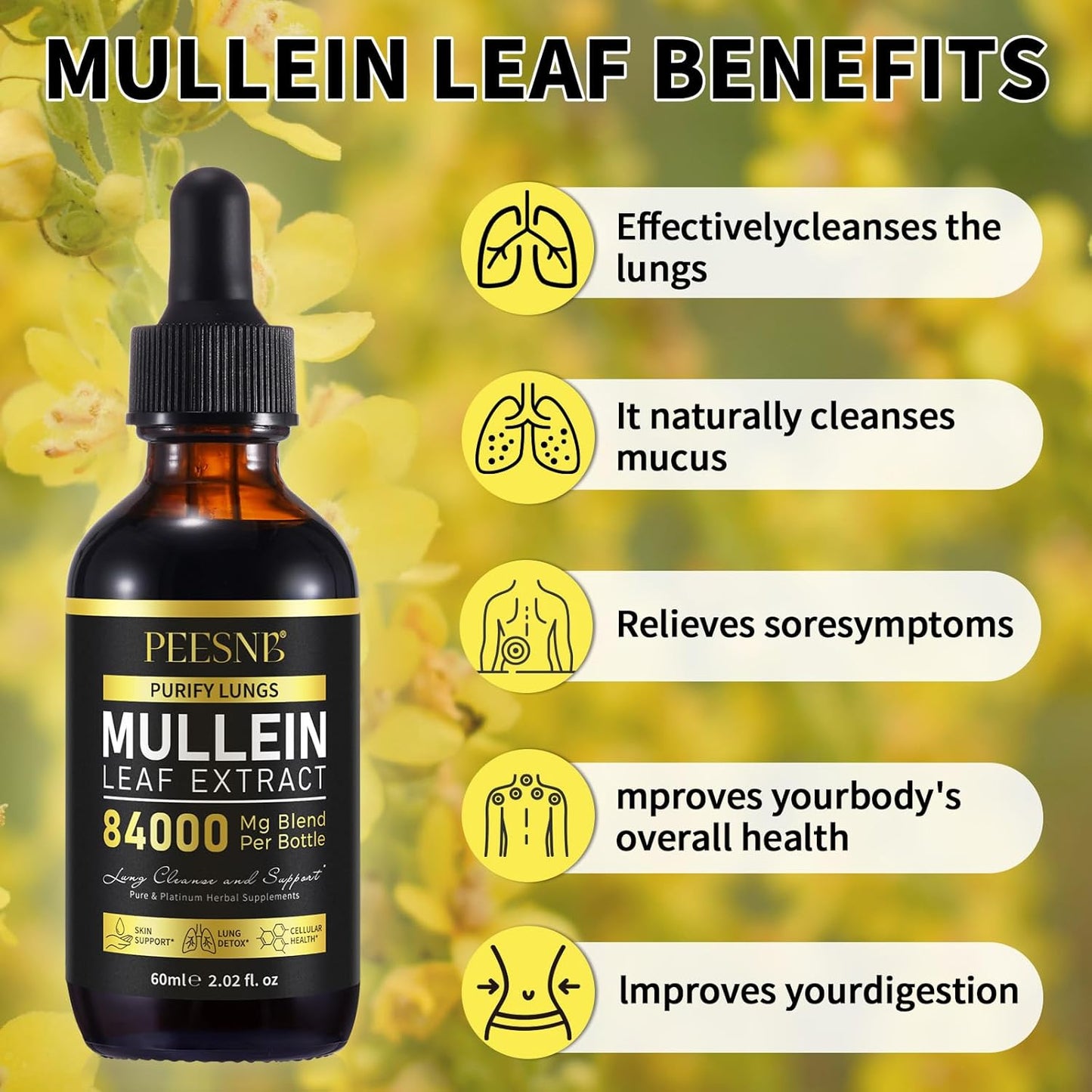 Mullein Drops for Lungs - Non-GMO Mullein Leaf Extract with Chlorophyll for Lung and Respiratory Support