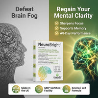 Vitacuity NeuroBright with Turmeric – Brain Supplement : Strong Omega-3 Softgel + High Dose B-Complex, C, D & E Multivitamin with Zinc and Copper All for Memory and Focus -56 caps