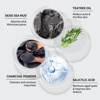 ANAI RUI ANAiRUi Dead Sea Tea Tree Mud Mask, Clay Mask Skincare with Activated Charcoal & Tea Tree Oil for Women and Men, 120g