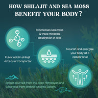 Shilajit Sea Moss and Ashwagandha Gummies 1500mg Per Serving, Enriched with 60% Fulvic Acid & 85+ Trace Minerals, High Strength Complex for Energy, More Convenient Than Resin (60 Count (Pack of 1))